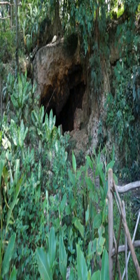 Samal, Monfort Bat Cave