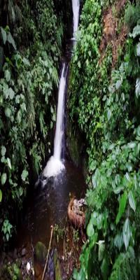 Monteverde region, Monteverde Cloud Forest Reserve