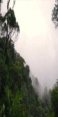  La Fortuna, Monteverde region