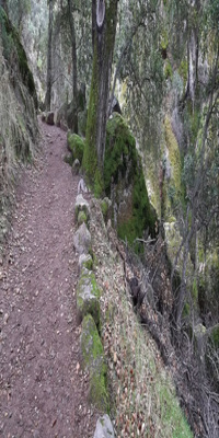 Pinnacles National Park, Moses Spring and Rim Trail Loop