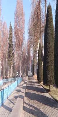 Tashkent, Mustakillik Maydoni