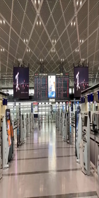 Tokyo, Narita International airport