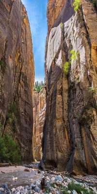 Zion National Park , Narrows
