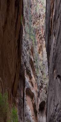 Zion National Park , Narrows