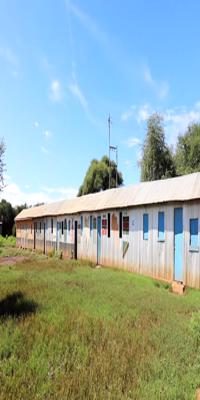 Arusha, Ngabobo Village tour