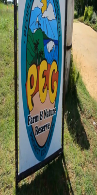 Barbados, PEG Farm & Nature Reserve
