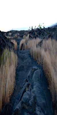 Hawaii Volcanoes National Park, Pu’u Loa Petroglyphs