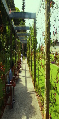 Kandy, Royal Botanic Gardens