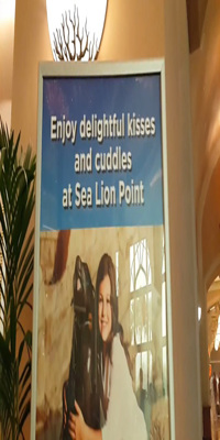 Dubai, Sea Lion Point