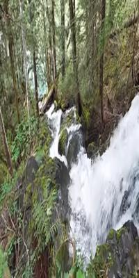 Mount Rainier National Park,  Silver Forest Trail