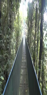 Monteverde region, Sky Walk
