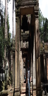 Siem Reap , Ta Prohm Temple