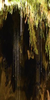 Fiordland , Te Anau Glow Worm Caves