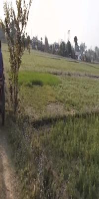 Chitwan, Tharu village