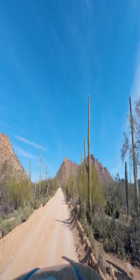 Saguaro National Park, The Bajada Loop 