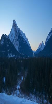 Banff, The Juniper