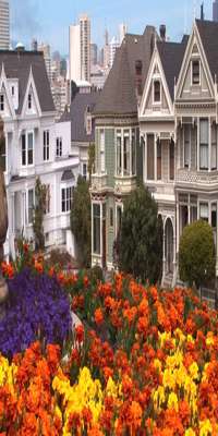 	San Francisco, Painted Ladies