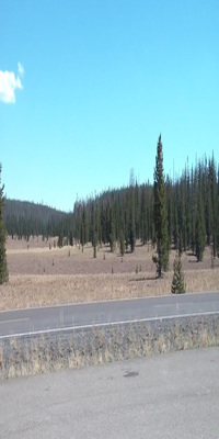 Crater Lake National Park, The Pumice Desert