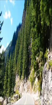 Mount Rainier National Park, The Road to Paradise