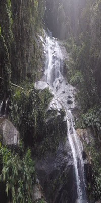 rio de janeiro, Tijuca National Park