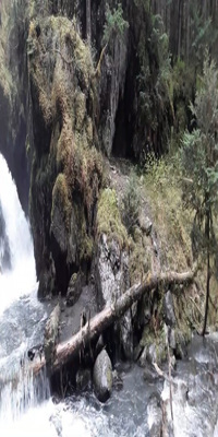 Girwood,  Virgin Creek Falls