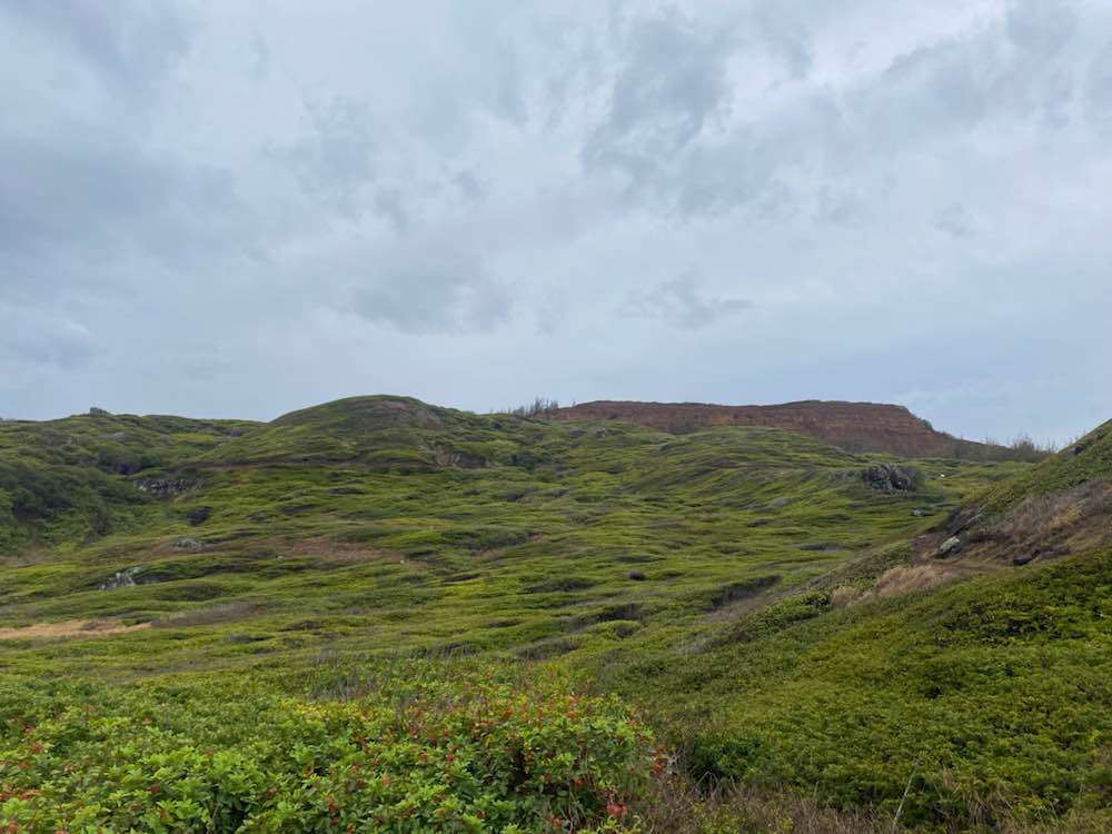 Wailuku, ʻOhai Trail