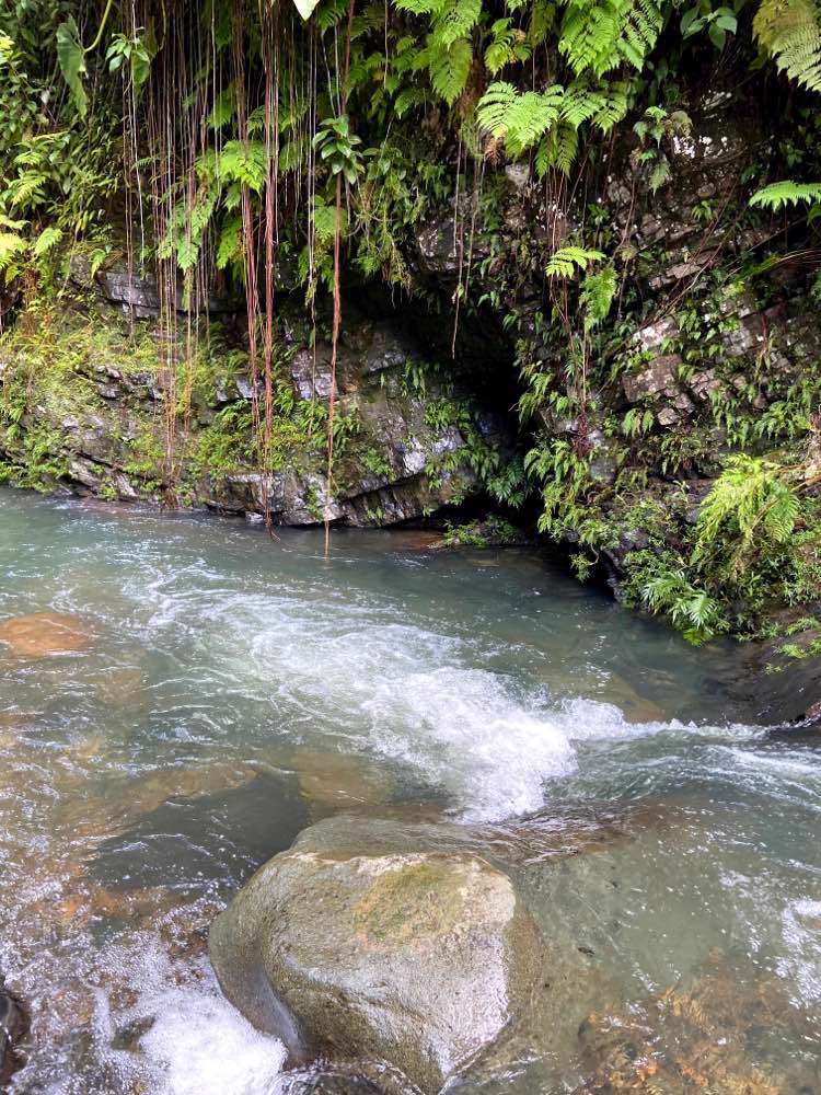 San Juan, El Yunque National Forest