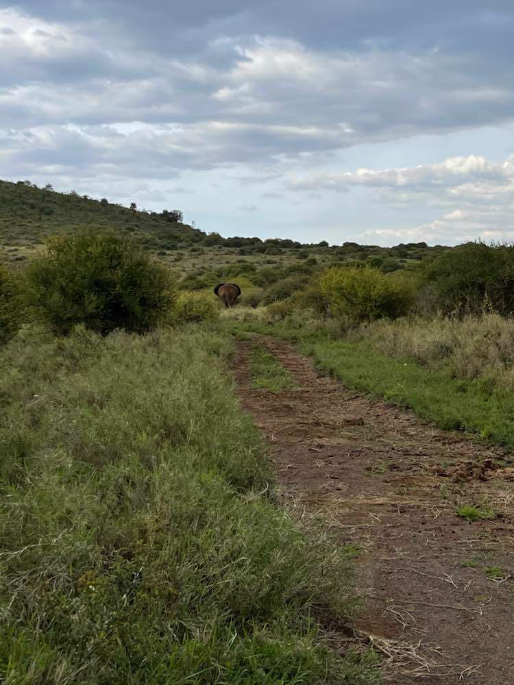 Amboseli, Satao Elerai Camp