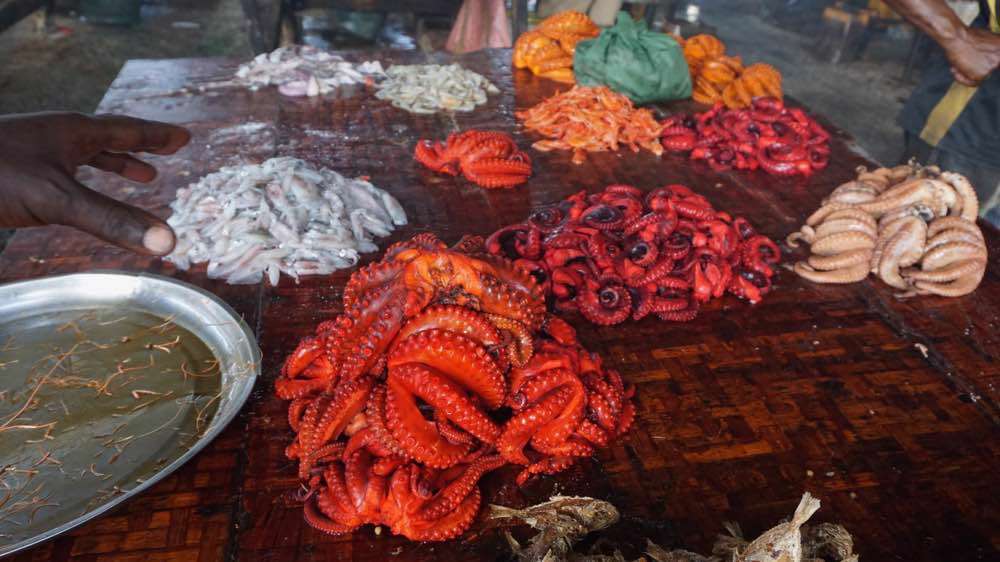 Dar es Salaam, Cape Town Fish Market Dar es Salaam