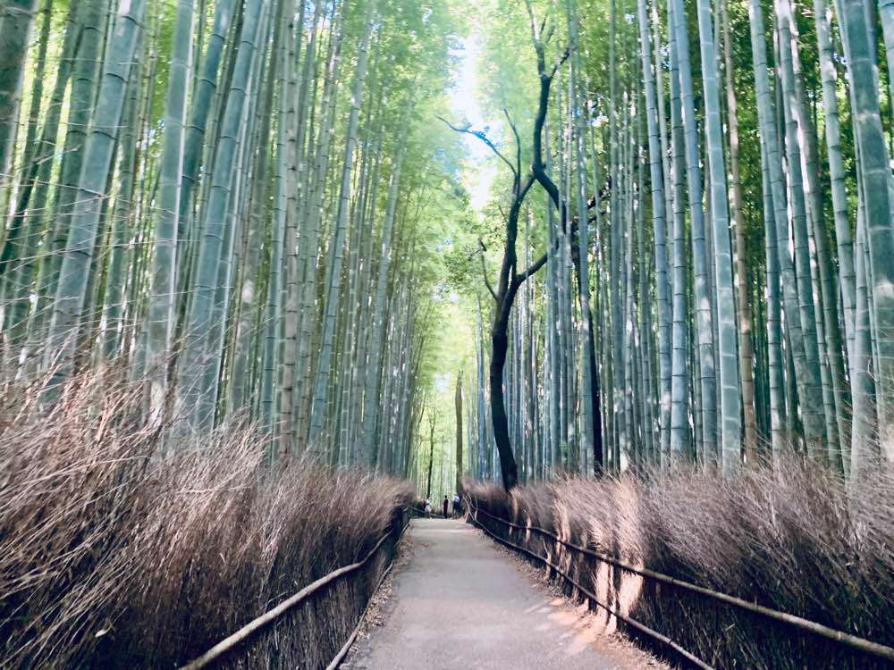 Kyoto, Arashiyama