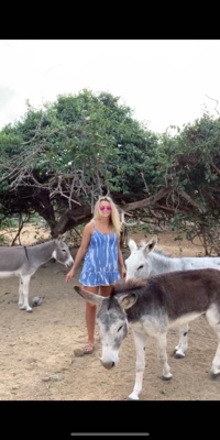 Santa Cruz, Donkey Sanctuary Aruba