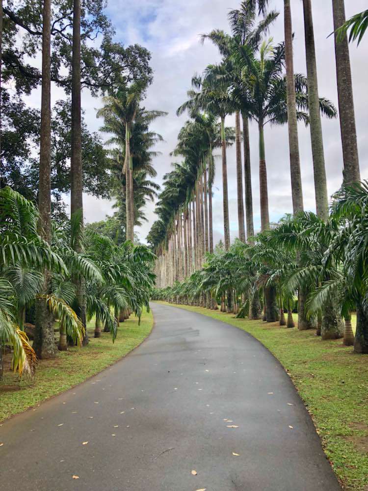 Peradeniya, Royal Botanic Gardens