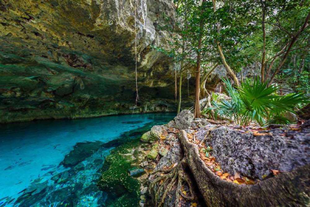 , Two Eyes Cenote