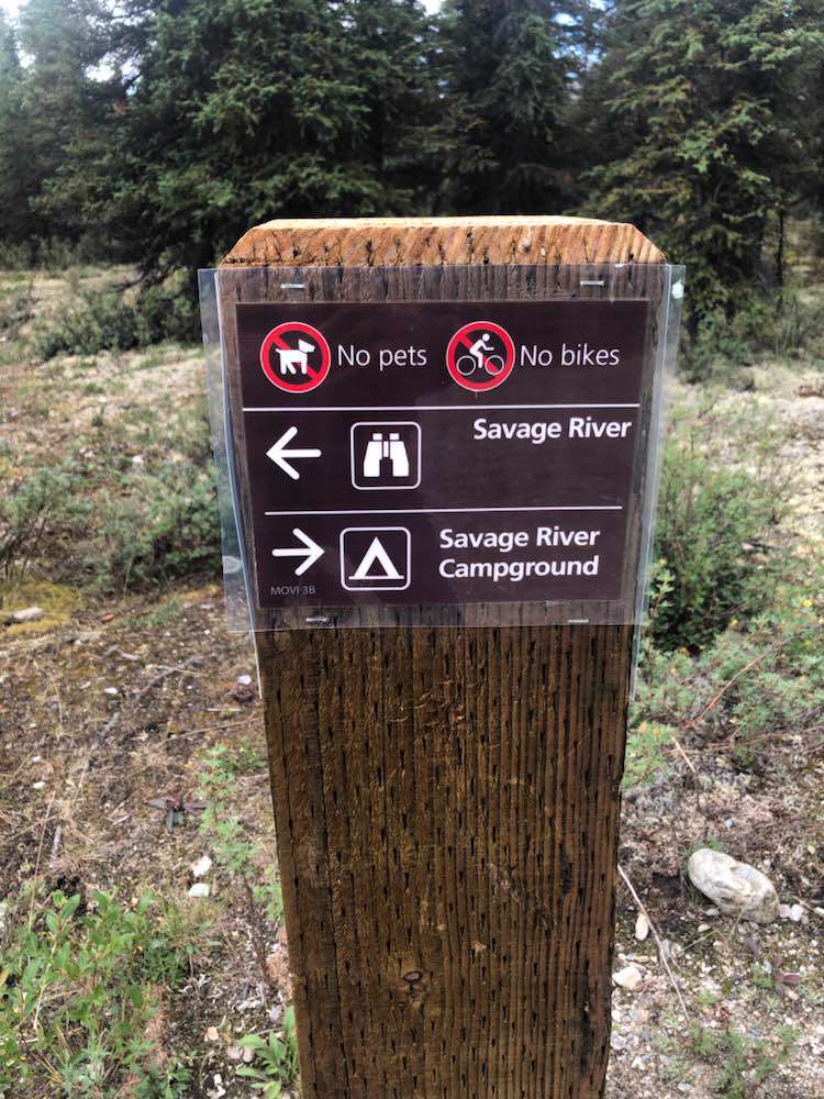 Healy, Savage River Trail Parking