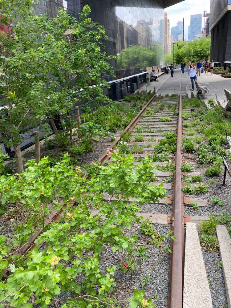 New York, The High Line