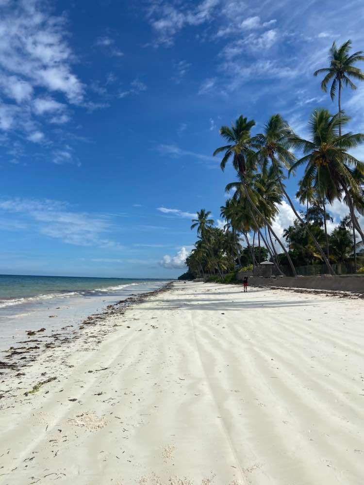 Bwejuu, Indigo Beach Zanzibar