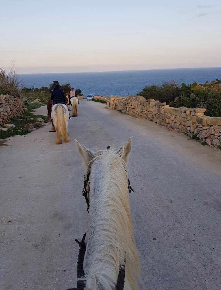 Il-Qala, Gozo Stables Horse-Riding