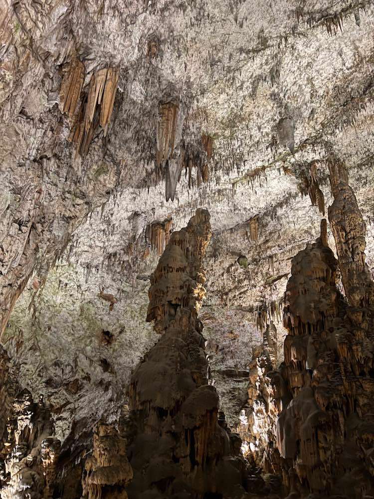Postojna, Grotte di Postumia
