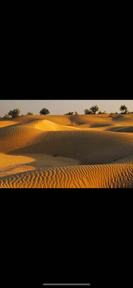 Thar Desert , Deserto del Thar