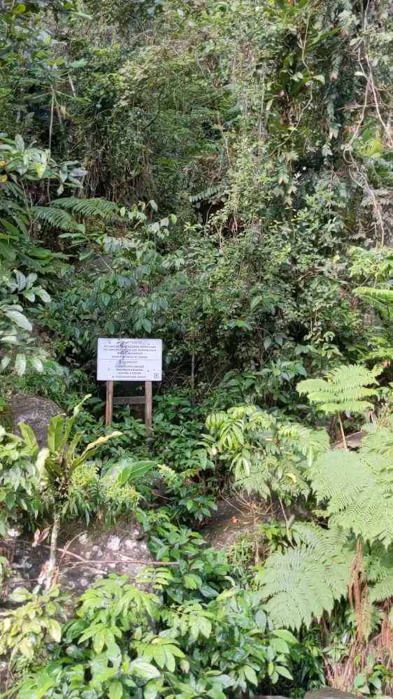 San Juan, El Yunque National Forest