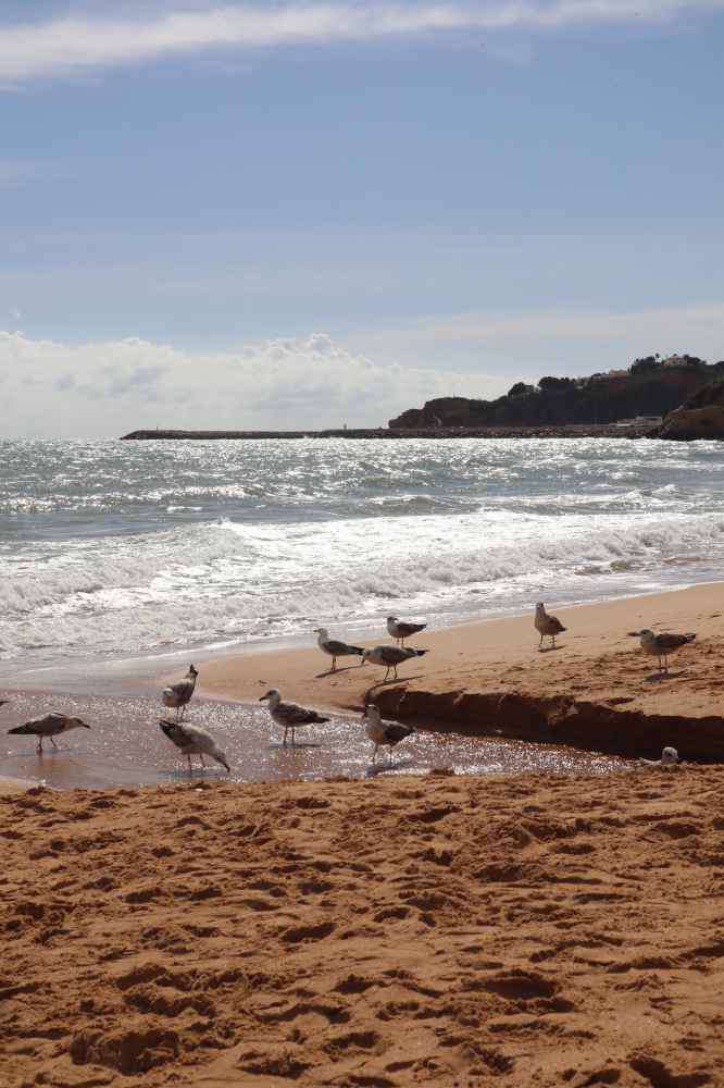 Albufeira, Praia de Albufeira