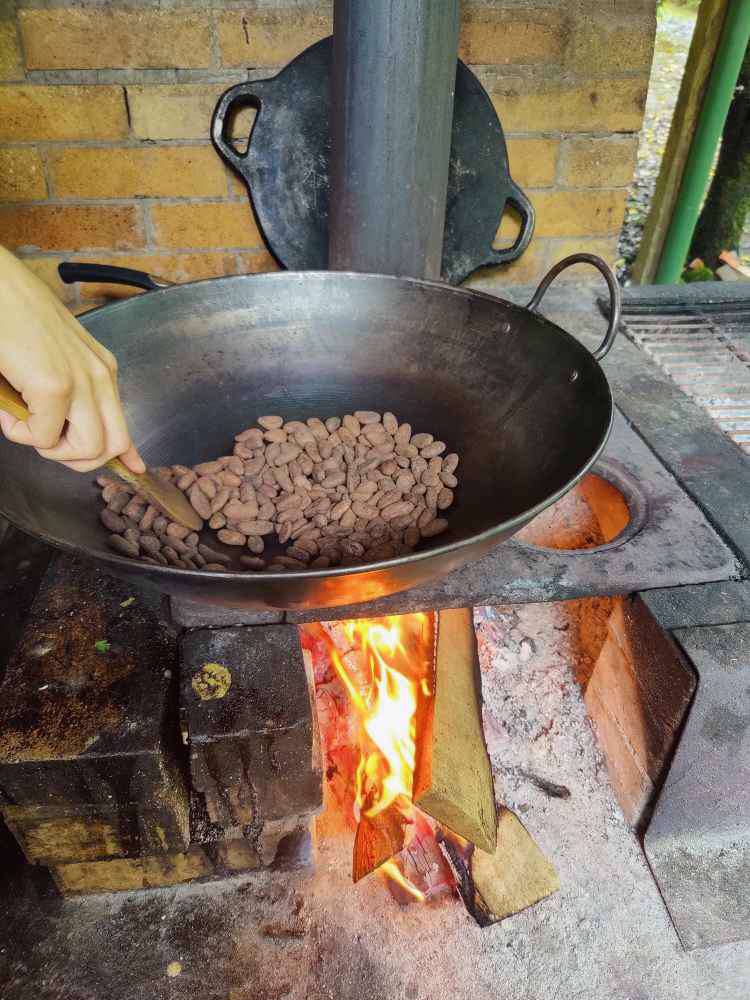 Bijagua de Upala, Finca La Amistad Cacao Lodge