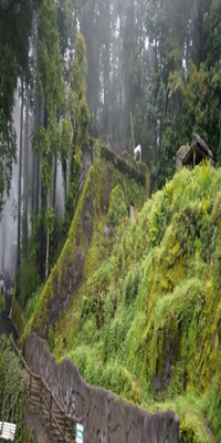 Darjeeling , Padmaja Naidu Himalayan Zoological Park