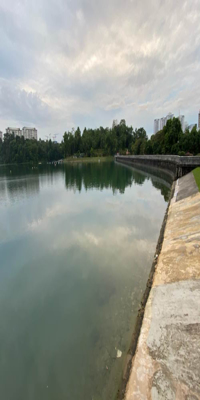 Singapore, MacRitchie Reservoir