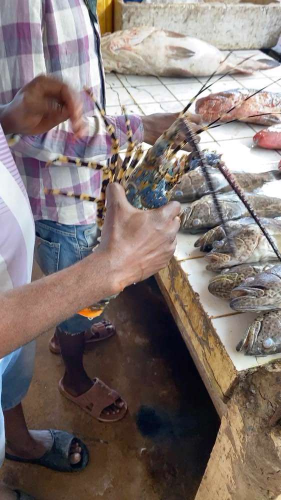 Dar es Salaam, Cape Town Fish Market Dar es Salaam