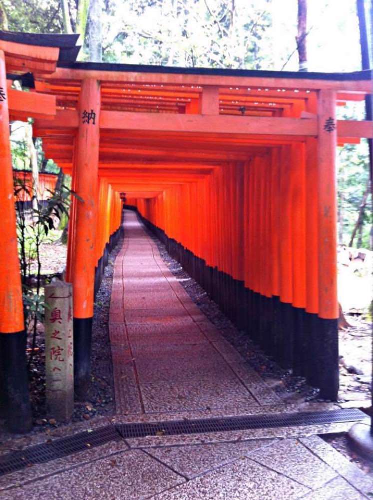Kyoto, Santuario di Fushimi Inari-taisha