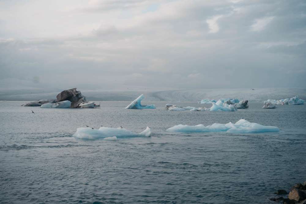 Unknown, Jökulsárlón Iceberg Lagoon