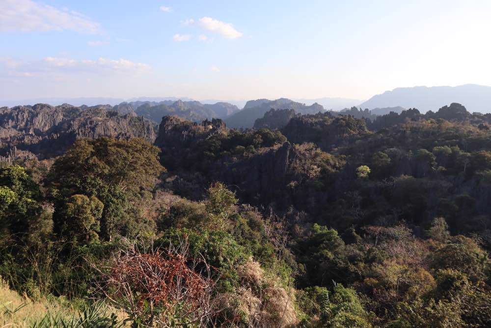 , Limestone Forest Viewpoint
