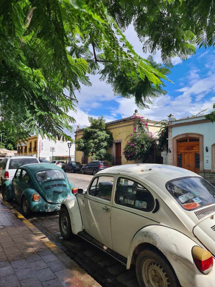 Oaxaca