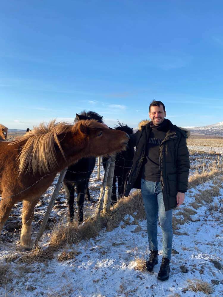 Hveragerði, The Icelandic Horse Park Fakasel